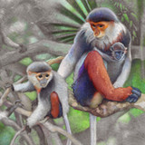 Nature(Официальный)0.2.5337_playmods.net