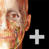Human Anatomy Atlas 2022＋(Official)1.01.014_playmods.net
