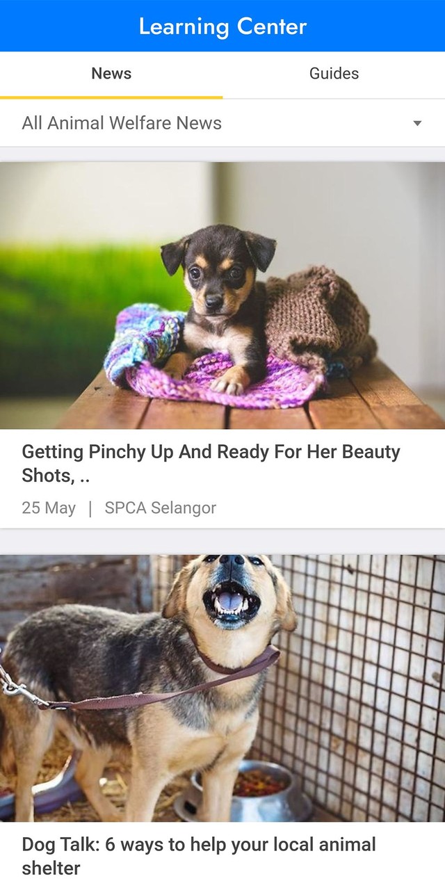 PetFinder.my_playmods.net