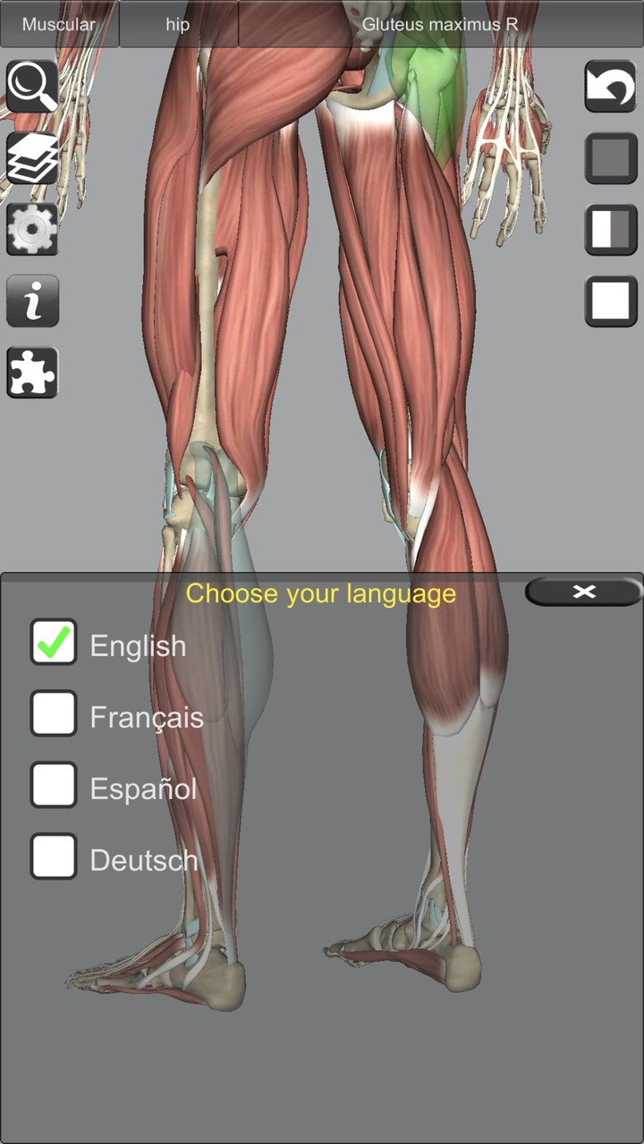 3D Bones and Organs (Anatomy)_playmods.net