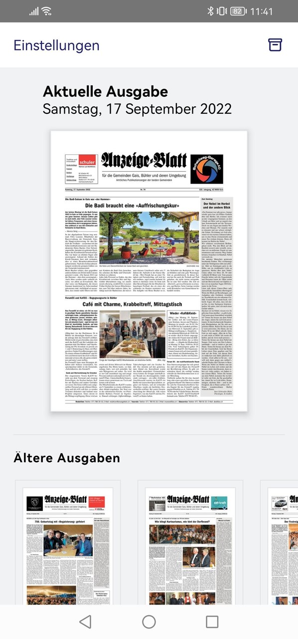 Anzeige-Blatt_playmods.net