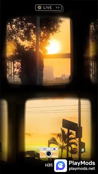 Disposable Camera - OldRoll(Premium Unlocked) screenshot image 5_playmods.net