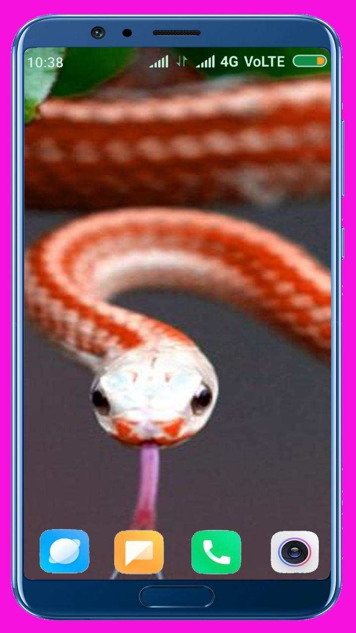 Snake HD Wallpaper_playmods.net