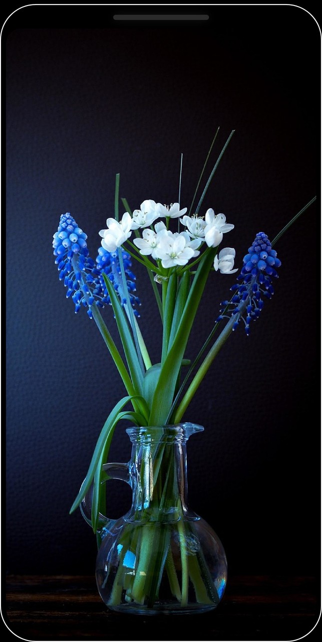 Sfondi di fiori - HD e 4K_playmods.net