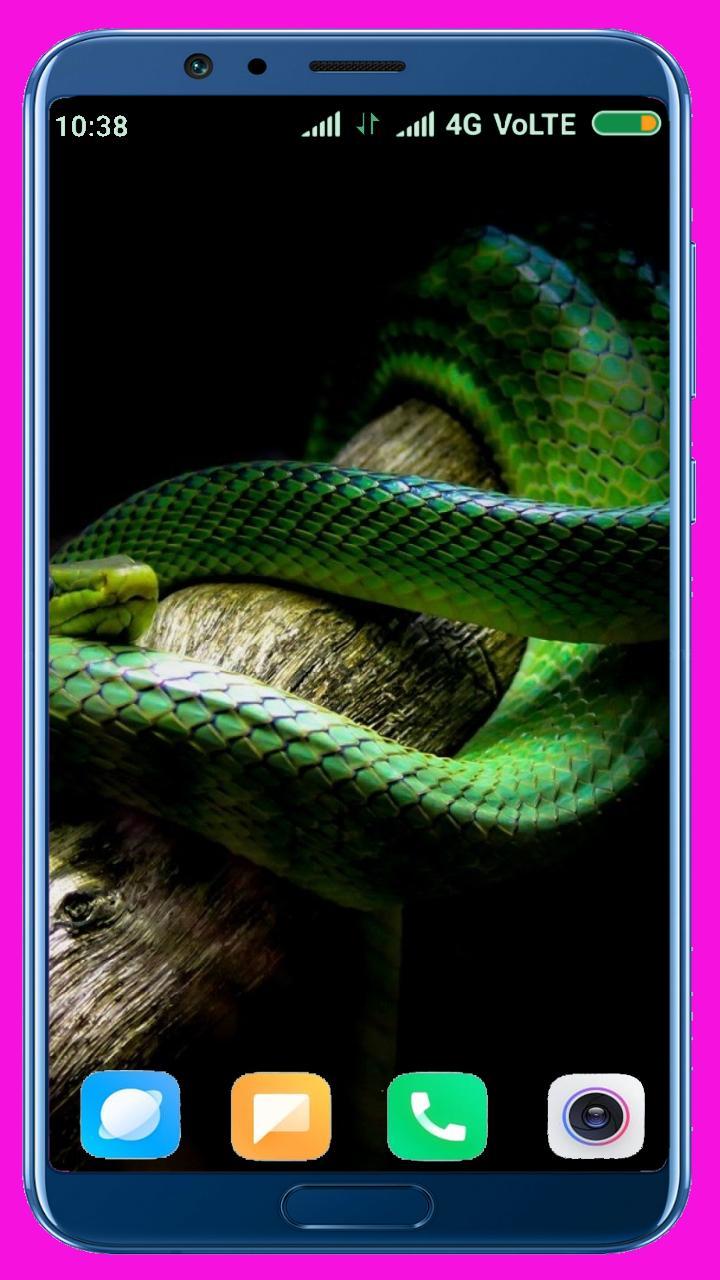 Snake HD Wallpaper_playmods.net