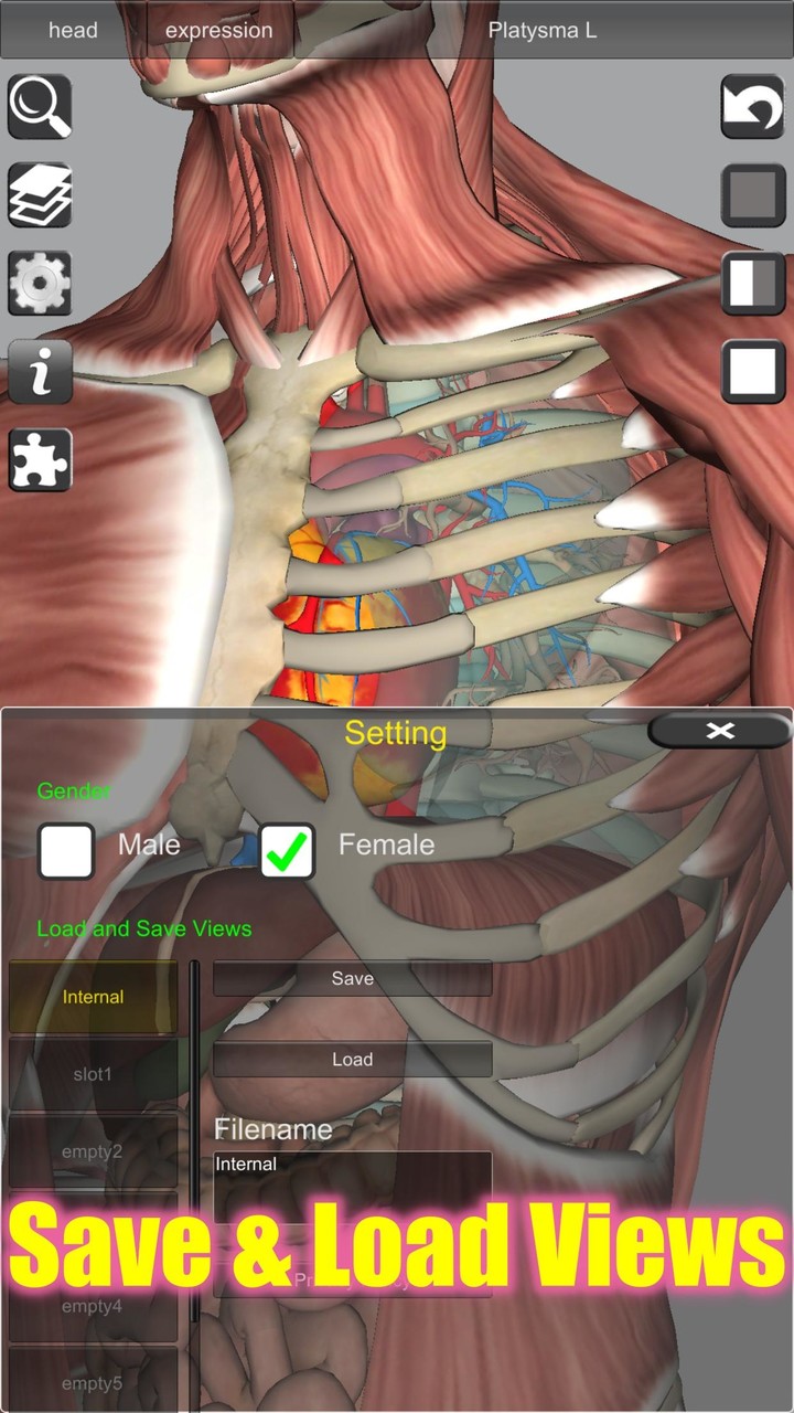 3D Bones and Organs (Anatomy)_playmods.net