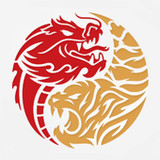 Dragon Tiger Noodle Co(Offiziell)2.0.1_playmods.net