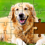 Jigsaw Puzzles: HD Jigsaw Game(Official)1.681_playmods.net