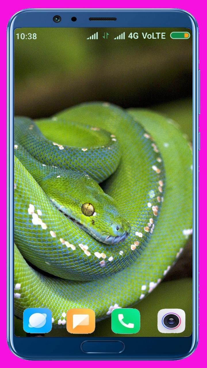 Snake HD Wallpaper_playmods.net