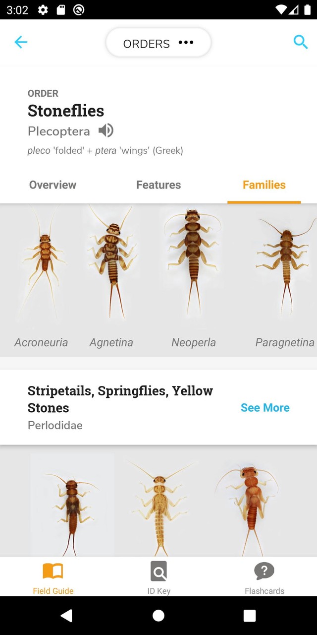 PocketMacros_playmods.net