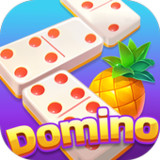 Duole Domino-Gaple QiuQiu Slot(Official)1.5.0_playmods.net