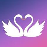 Muzproposal: Single Muslims Marriage & Arab Dating_playmods.net