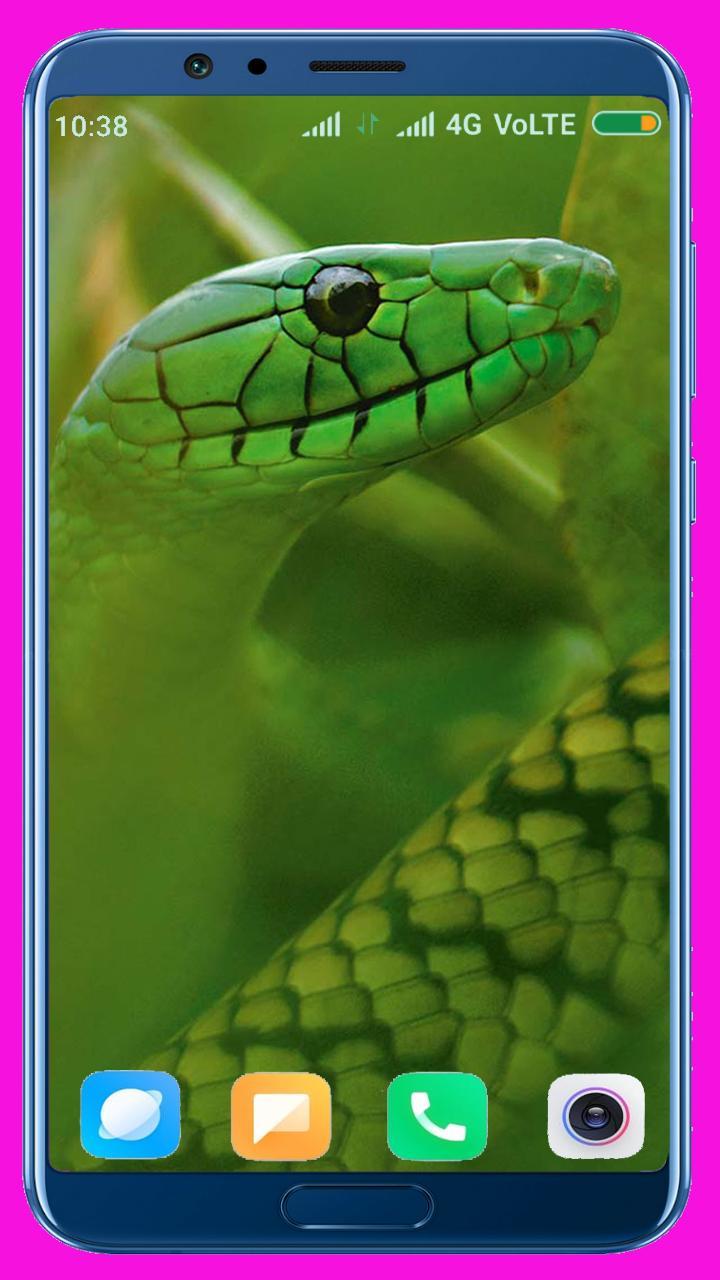 Snake HD Wallpaper_playmods.net