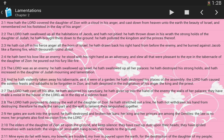 KJV - Holy Bible King James Version_playmods.net