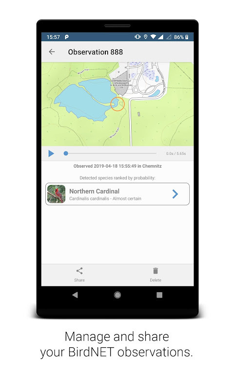 BirdNET_playmods.net