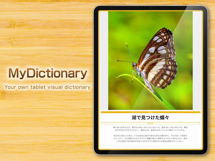 My Dictionary -Collection Mana_playmods.net