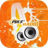 Puls Radio_playmods.net
