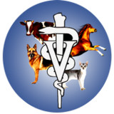 Vet Eye(Official)6.3.6_playmods.net