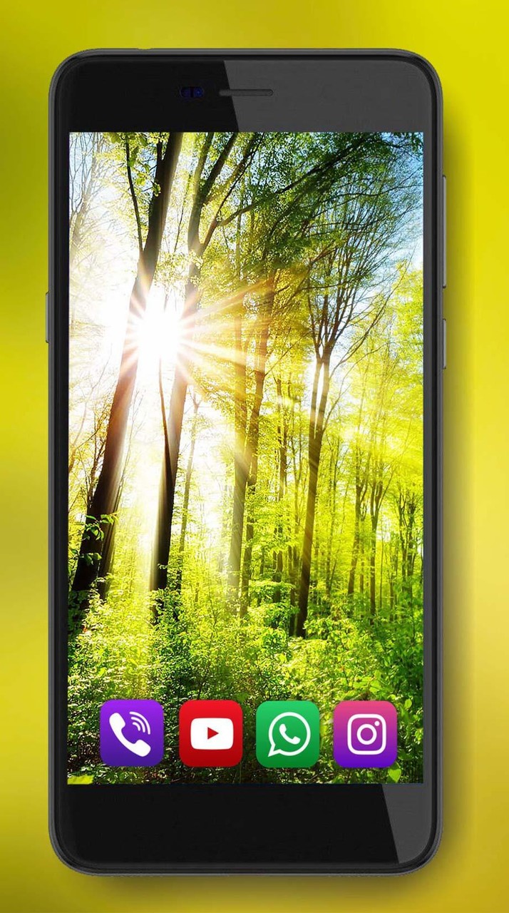 Forest Music Live Wallpaper_playmods.net