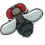 Fly Killer_playmods.net