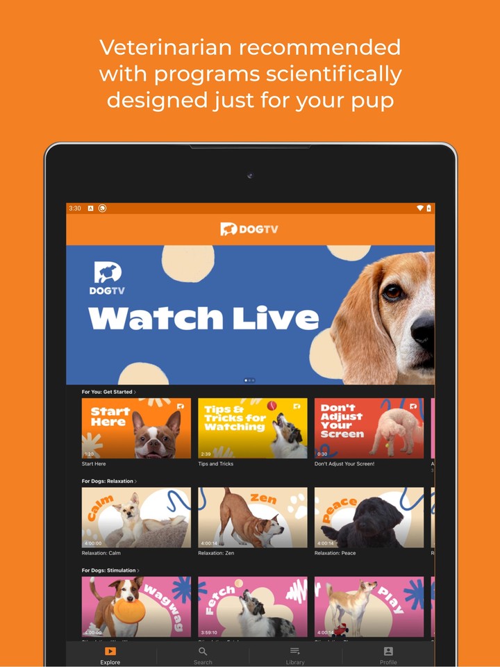 DOGTV_playmods.net