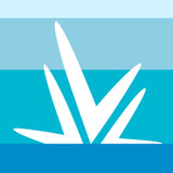 PANCREAZE Dosing Assistant App_playmods.net