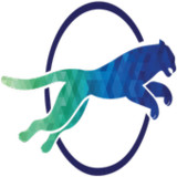 Leopard(Official)2.0.0_playmods.net