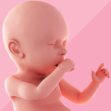 Pregnancy Tracker(Official)1.1.14_playmods.net