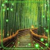 Forest Music Live Wallpaper_playmods.net