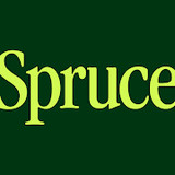 Spruce - Mobile banking_playmods.net