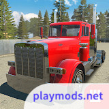 Truck Simulator PRO USA (Mod Menu) - playmods.top