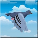 Kick the Pigeon Islands in the Sky(The Full Content)_playmods.net