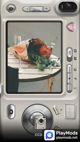 Disposable Camera - OldRoll(Premium Unlocked) screenshot image 4_playmods.net