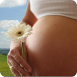 Pregnancy Calendar(Official)2.6.1_playmods.net