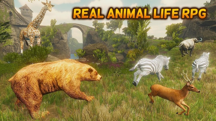 The Bear - Animal Simulator_playmods.net