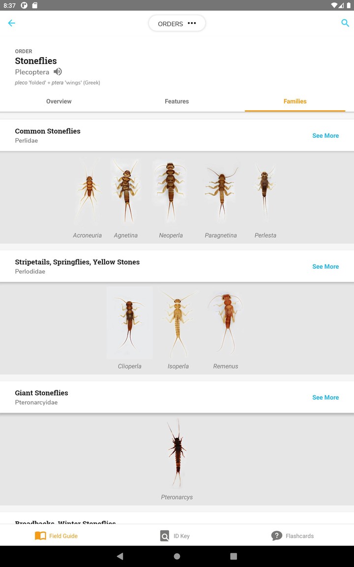 PocketMacros_playmods.net